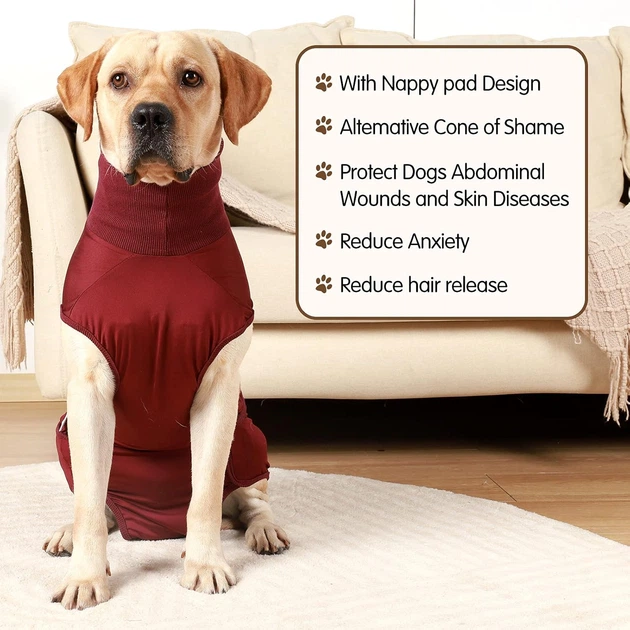Wan talk Гігієнічні труси/комбінезон для собак WanTalk Full Body Dog Diaper, Wine Red, XS