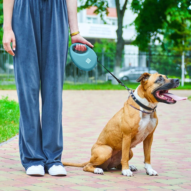 Повідець-рулетка для собак WAUDOG R-leash L стрічковий 5 м до 40 кг блакитний зі світловідбиваючою стрічкою та контейнером боксом для прибирання сміттєвих пакетів пластиковий повідець для великих та с