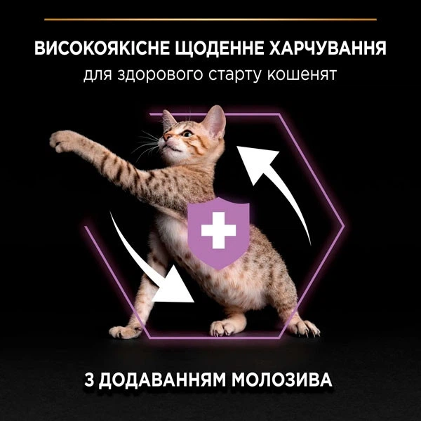 Без бренда Корм для кошенят