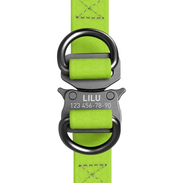 Collar Шлея для собак водостійкий WAUDOG, з QR паспортом, Ш 20 мм, Довжина 50-80 см салатова