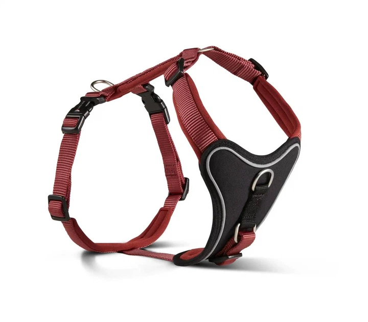 Шлейка для собак пом'якшена Wolters Professional Comfort 2A 45-50 см / 25 мм Бордовий