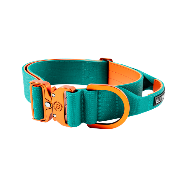 Тактичний широкий полегшений нашийник із ручкою для собак BullyBillows Lighter Combat Collar Handle 5 cm XL: 50 мм, ОШ 56-73 см Бірюзовий