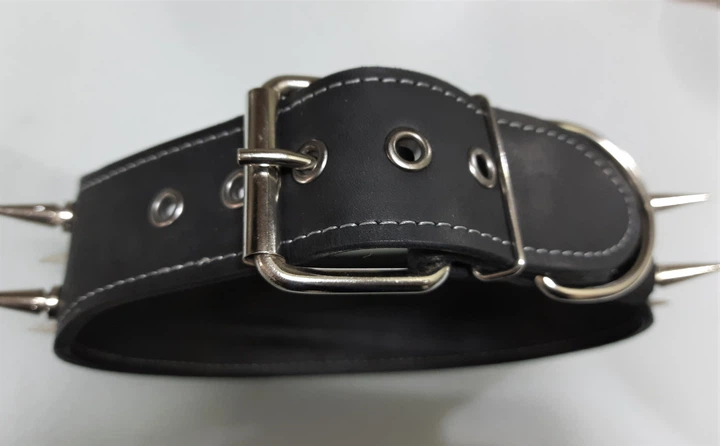 Шкіряний нашийник з шипами Lockdog XL(56-70 см) 000240024