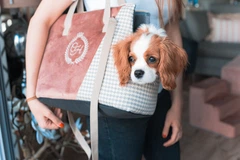 Сумка-переноска Chloe's Home Porto рожева рожева
