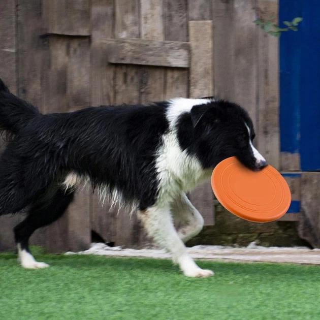 Derby Силіконова тарілка-фризбі для собак Soft Silicone Dog Flying Disc, 1 шт., Салатовий