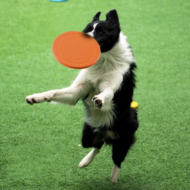 Derby Силіконова тарілка-фризбі для собак Soft Silicone Dog Flying Disc, 1 шт., Салатовий