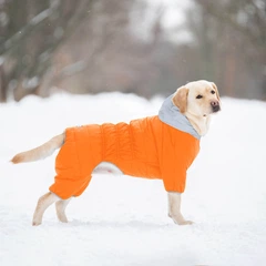Airy Vest Комбінезон для собак AiryVest One, розмір XS22, помаранчевий (24124)