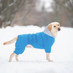 Airy Vest Комбінезон для собак AiryVest One, розмір XS22, блакитний (24112)