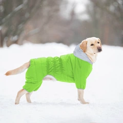 Airy Vest Комбінезон для собак AiryVest One, розмір XS22, Салатовий (24115)