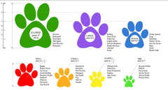 Protex Pawz Гумове взуття-шкарпетки для собак PAWZ Чорний розмір XS (3.1-5.1см)