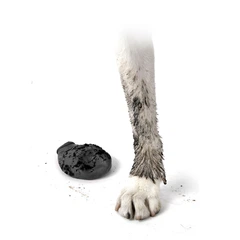 Protex Pawz Гумове взуття-шкарпетки для собак PAWZ Чорний розмір XS (3.1-5.1см)