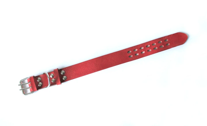 Шкіряний нашийник для собак Lockdog L(45-55 см) 000239967