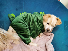Костюм комбінезон для собак Pet Style "Діно" Зелений 2XL