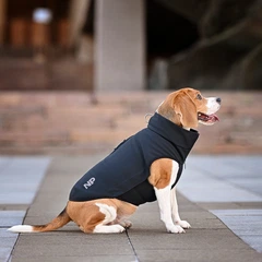 Одяг Noble Pet Softshell Ostin Navy Жилет для собак M (O4143/M)