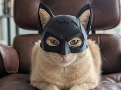 Seta Decor Маска Бетмена для кота або собаки шолом Batman | Беткіт