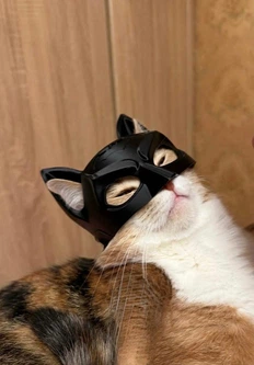 Seta Decor Маска Бетмена для кота або собаки шолом Batman | Беткіт