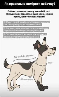 Зимовий комбінезон Dogs Bomba на хутрі для собак мокко розмір 6 2000000029313