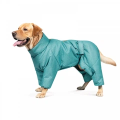 Комбінезон для собак Pet Fashion Cold бірюзовий зимовий розмір XS (MLZ8798)
