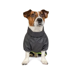 Комбінезон для собак Pet Fashion «Rain» XS