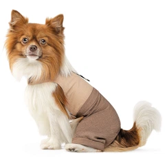 Pet Fashion Darcy шлея-костюм для собак XXS