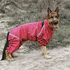 Зимовий комбінезон для собак DIEGO Snow New F червоний, утеплений флісом, водовідштовхувальна плащівка, застібка на спині, світловідбивачі, регулювання довжини штанин, розмір 1 (шия 31 см / груди 43–4
