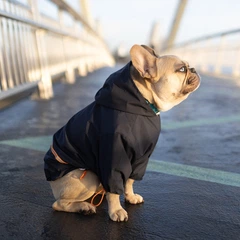 Одяг Noble Pet Moss Short Blue - дощовик для мопсів та французькіх бульдогів M (M4106/M-Short)