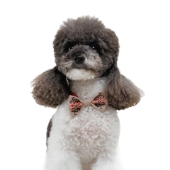 Аксесуар для собак Pet Fashion Ruta Метелик S-M - бежевий