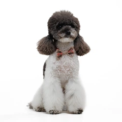 Аксесуар для собак Pet Fashion Ruta Метелик S-M - бежевий