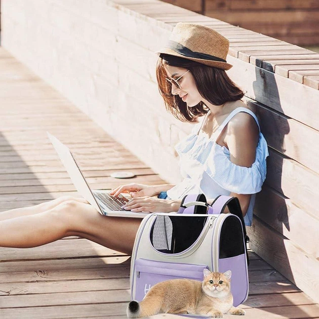 Рюкзак-переноска для тварин Hello Cat для котів і малих порід собак Бежево-Фіолетовий