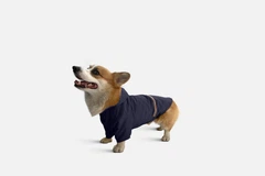 Noble Pet Дощовик з капюшоном для собак Noblepet Moss Blue, одяг для собак унісекс, M-Short (M4106/M-Short-Blue)