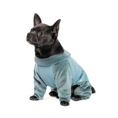 Комбінезон для собак Pet Fashion «COMFORT» M