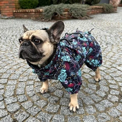 Одяг для собак дощовик "FLOR" SKU 004548. Розмір L. Your Stylish Hunter. Водостійкий одяг для французького бульдога, мопсу та ін. З закритим животом.