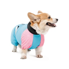 Комбінезон для собак Pet Fashion Milly L корги