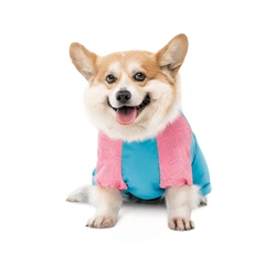 Комбінезон для собак Pet Fashion Milly L корги