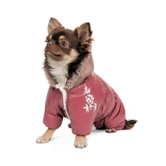 Одяг Pet Fashion Cherry Комбінезон для собак-дівчаток S2 (1111180541)