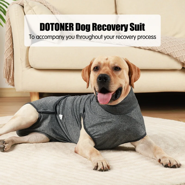Wan talk Гігієнічні труси/комбінезон для собак WanTalk Full Body Dog Diaper, Grey, 3XL