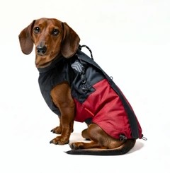 Одяг для собак дощовик “Dragon”. SKU 00599. Розмір XL. Your Stylish Hunter. Дощовик для собак для такс, коргі, джек расселів, цвергпінчерів та іншіх.