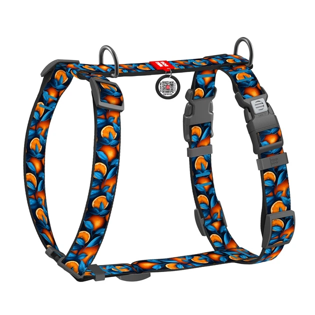 Шлея для собак анатомічна Н-подібна WAUDOG Nylon з QR-паспортом малюнок Апельсини пластиковий фастекс M Ш 20 мм A 38-60 см B 46-60 см
