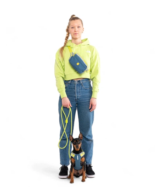 Шлея для собак Alpha 360 Woolly Wolf Harness Deep Teal Mix L