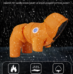 Комбінезон для собак та котів EcoToys Orange XXL помаранчевий A: 38 см B: 47 см C: 37 см X-7016