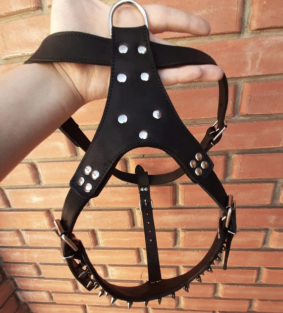 Комір шлейка з шипами Lockdog M(30-44 см) 000272077