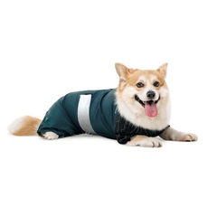 Комбінезон для собак Pet Fashion Den XS такса