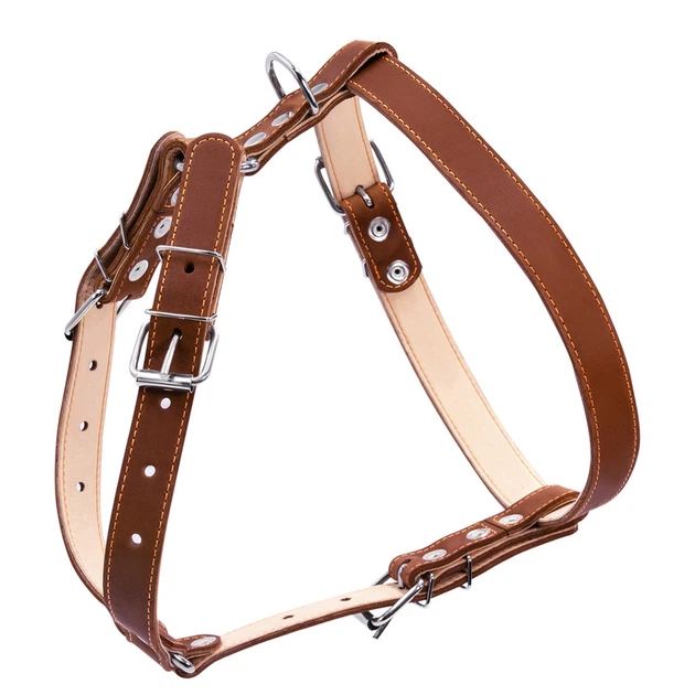 Шлея для середніх собак шкіряна плоска подвійна COLLAR, розмір L, коричнева, регульована, світловідбивні шви, 25 мм, A:49–68 см, B:68–80 см — арт. 06426