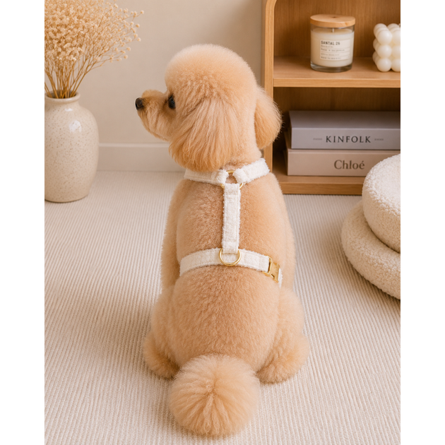 Без бренда Шлейка для собак Teddy Premium XS Multibrand 000354677