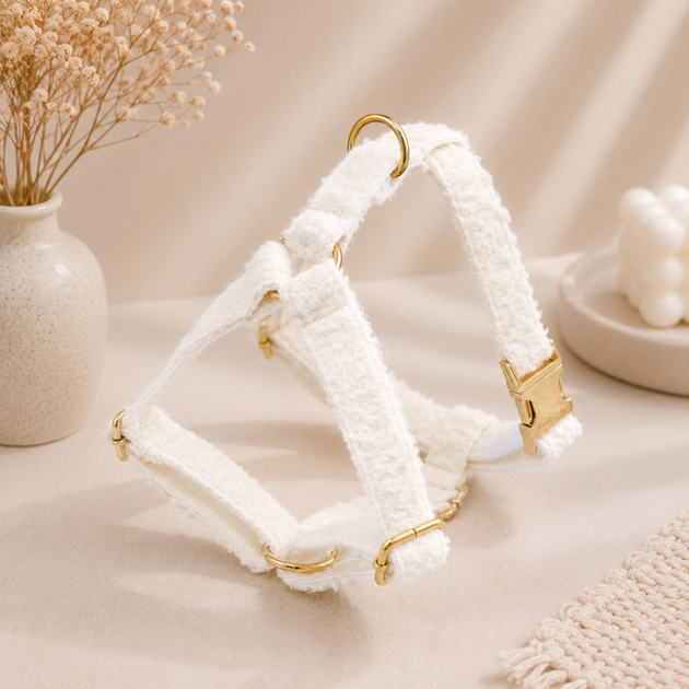 Без бренда Шлейка для собак Teddy Premium XS Multibrand 000354677