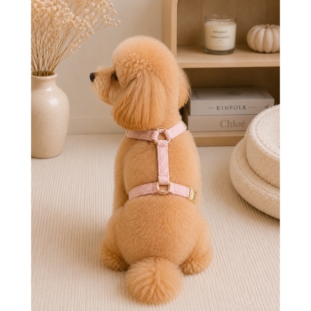 Без бренда Шлейка для собак Teddy Premium рожева S Multibrand 000354668