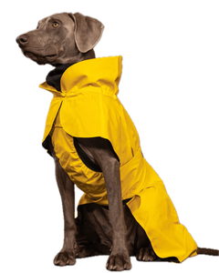 Paika Дощовик для собак Lite Yellow Paikka ( 20 )