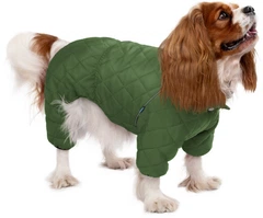 Комбінезон для собак Barksi Textile XXS Зелений (2007033074280)