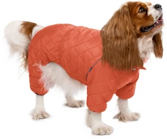 Комбінезон для собак Barksi Textile XXS Оранжевий (2007033074341)