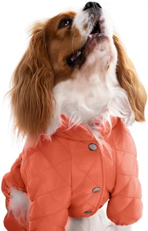 Комбінезон для собак Barksi Textile XXS Оранжевий (2007033074341)
